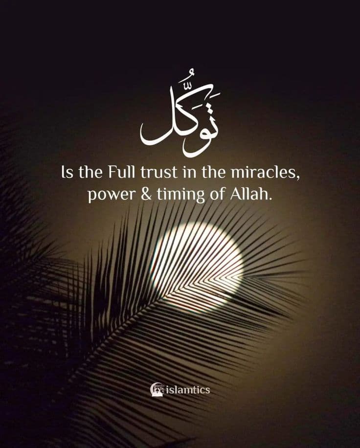 Miracles of Tawakul